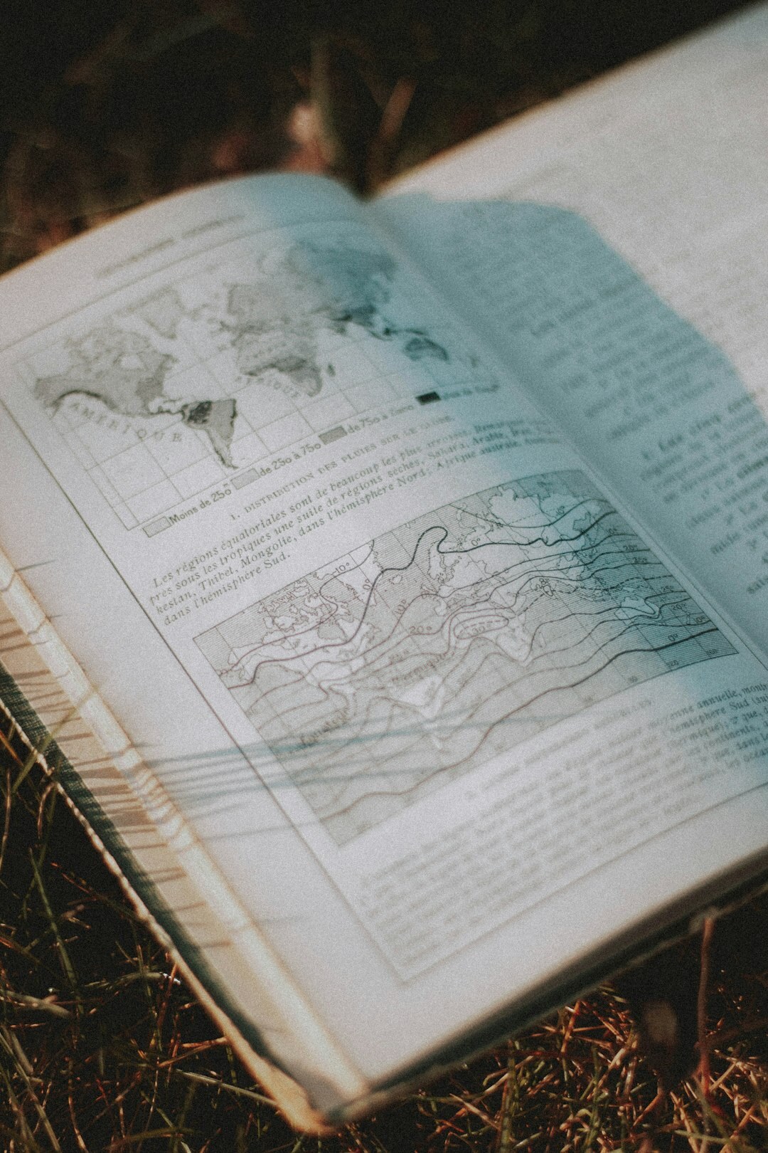 real world puzzles in books